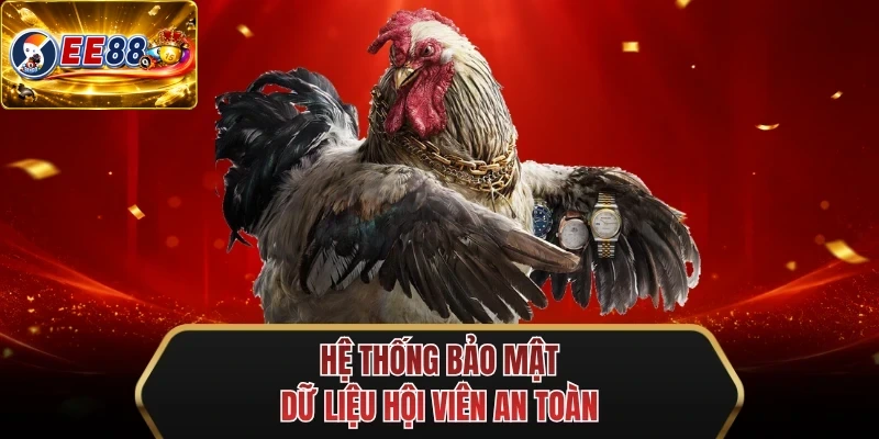he thong bao mat du lieu hoi vien an toan he thong bao mat du lieu hoi vien an toan