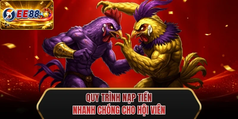 quy trinh nap tien nhanh chong cho hoi vien quy trinh nap tien nhanh chong cho hoi vien
